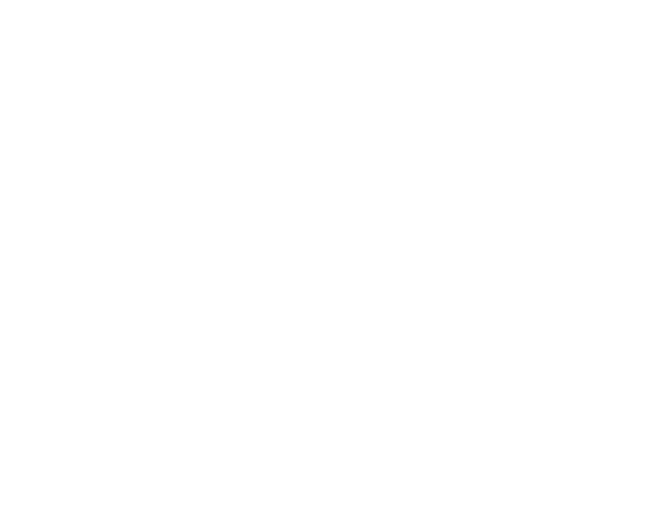 Best-in-class support icon