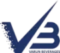 v3