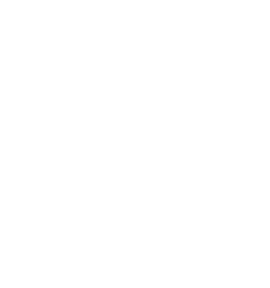 Centralized Budget Planning