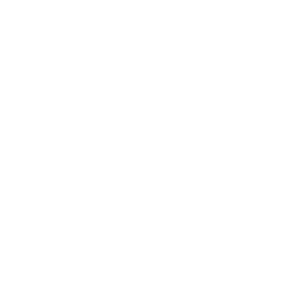 Secure login options